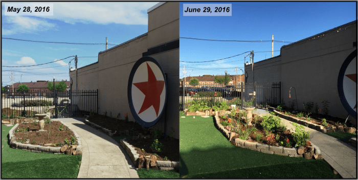 BeforeAfterButterflyGarden