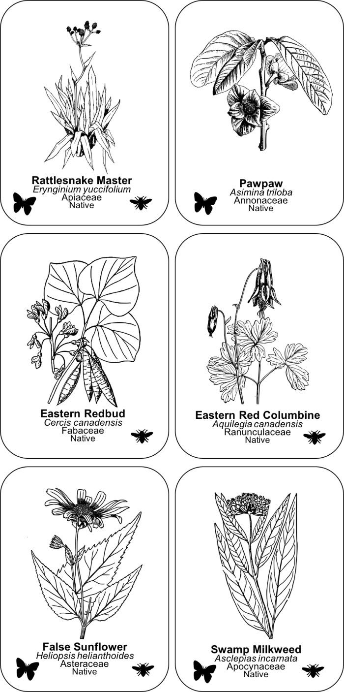 Plant Label Templates